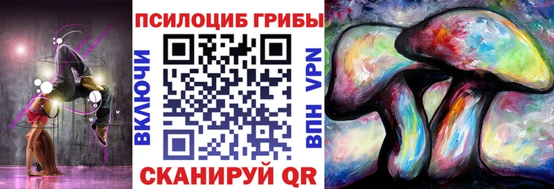 Псилоцибиновые грибы Psilocybe  Новомосковск 